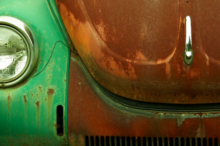 rusty bug