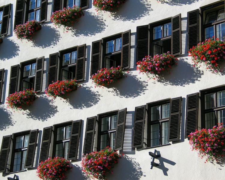 swiss windows