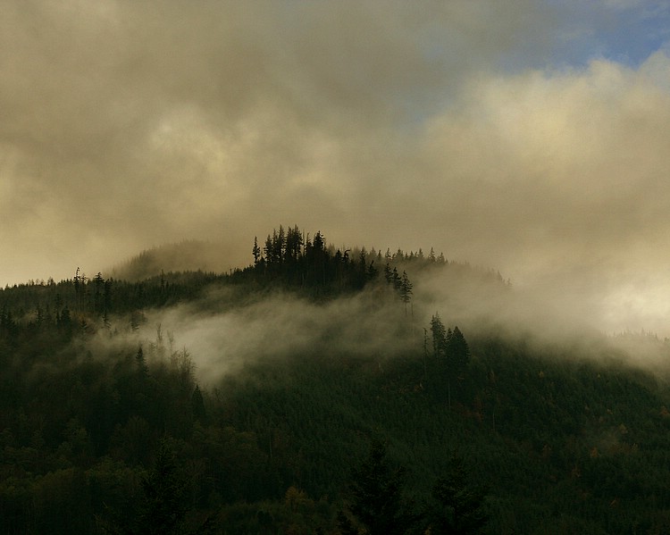 misty mountain