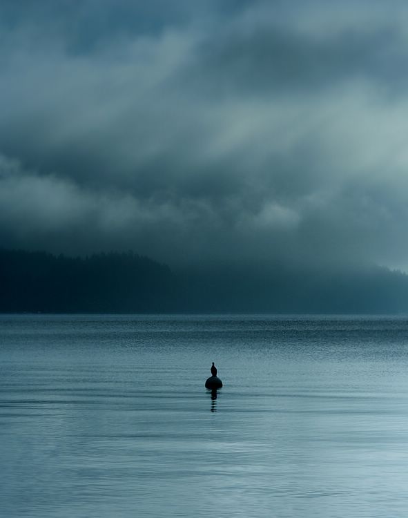 waiting for the storm