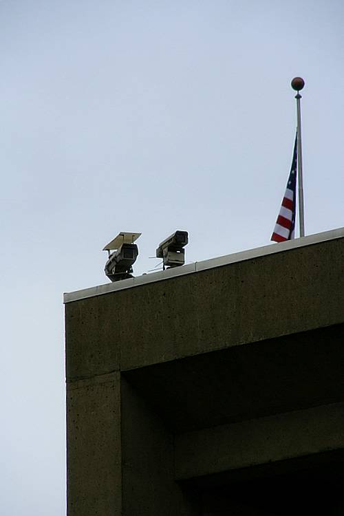 big brother