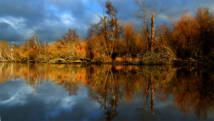 color in winter