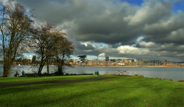 the park