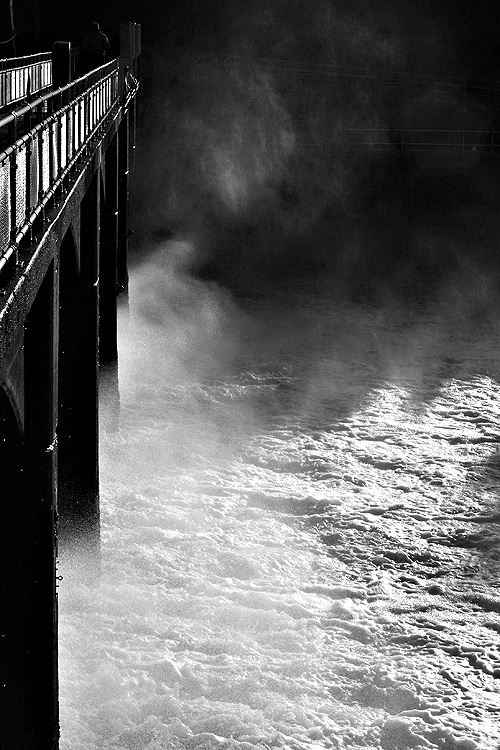 misty locks
