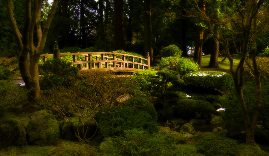 enchanted garden