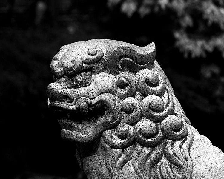 guard lion