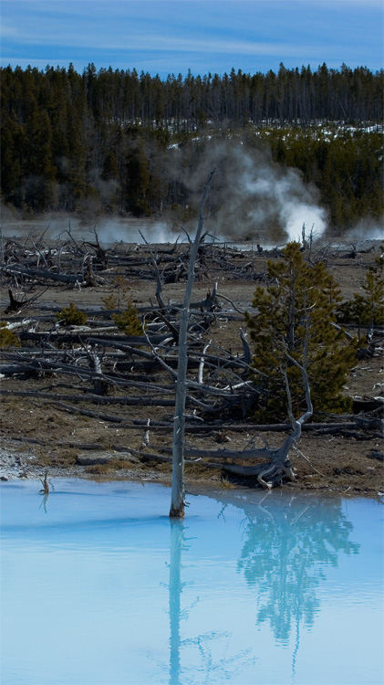 milky pond
