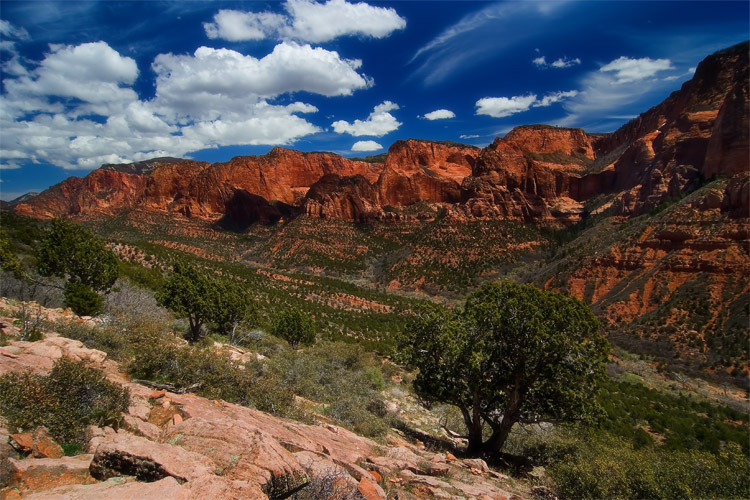 kolob canyon