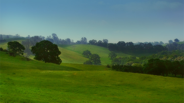 napa valley