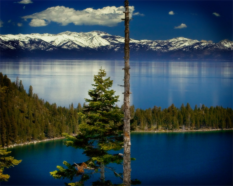 tahoe view