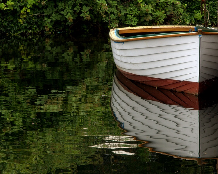 boat and green