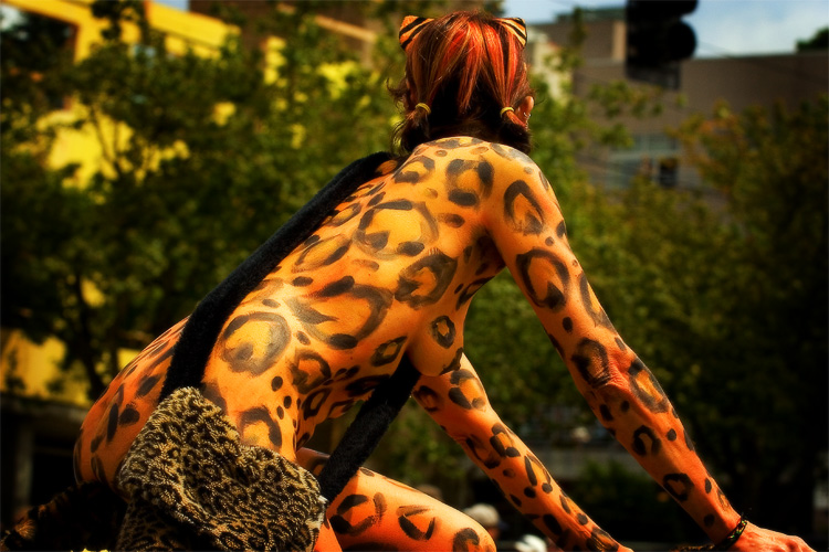 urban panther