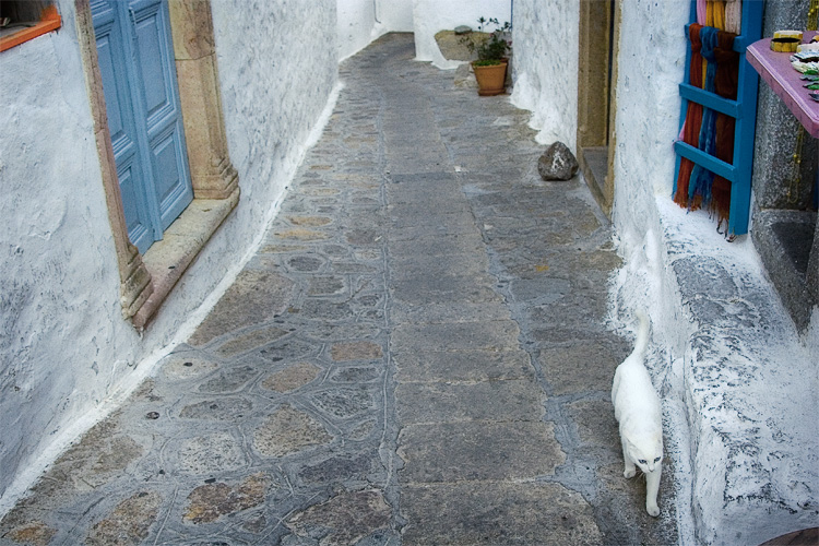 patmos cat