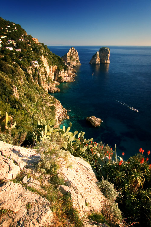 capriscape