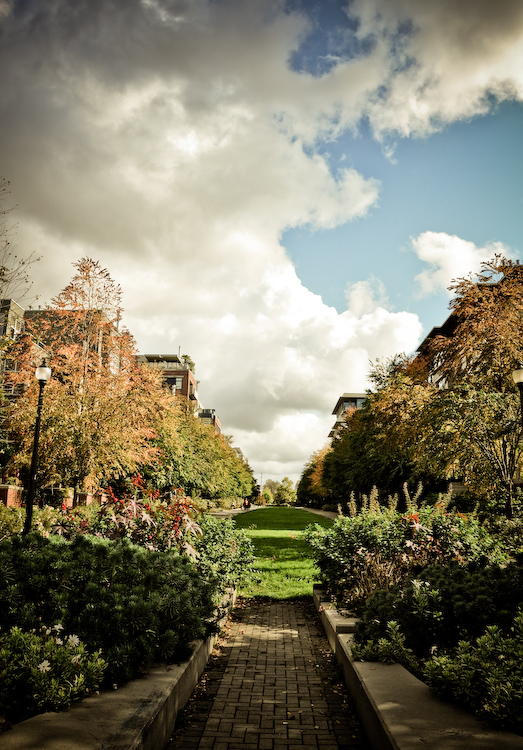 the walkway