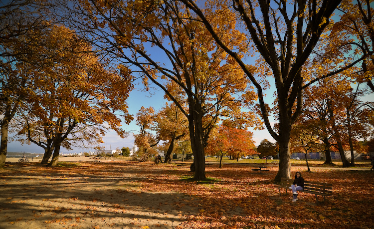 end of autumn