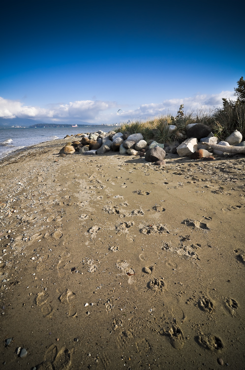 the beach 2