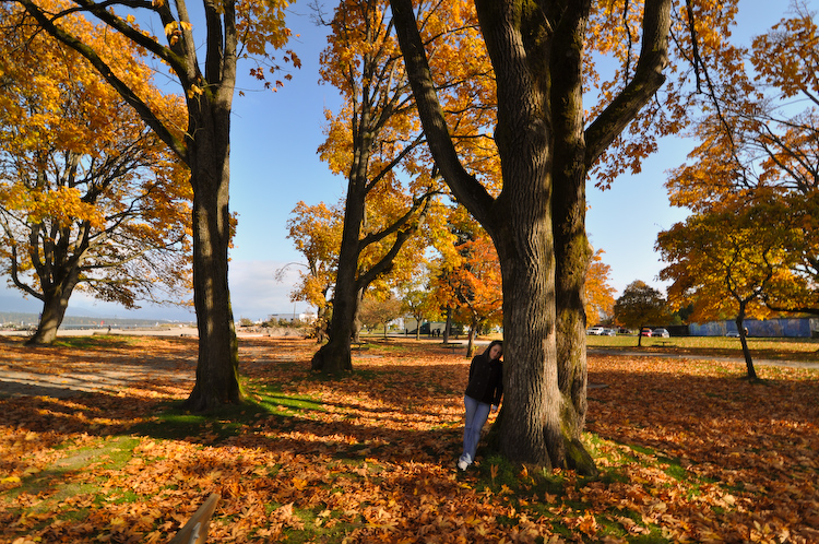end of autumn 2