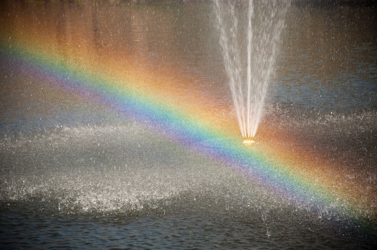 rainbow