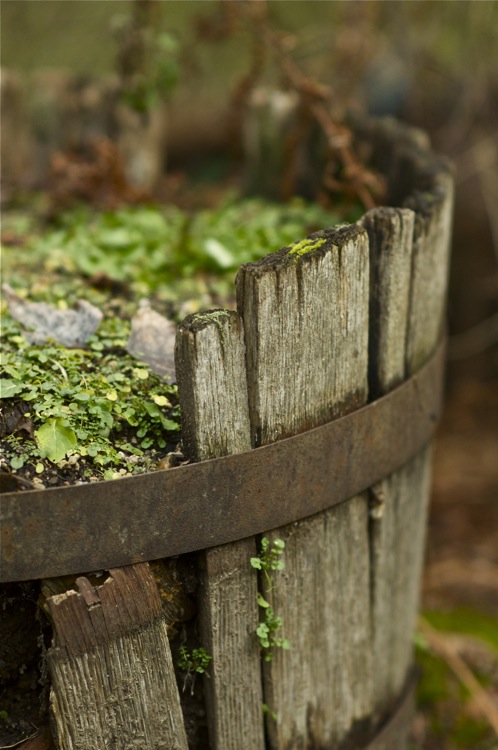 old pot