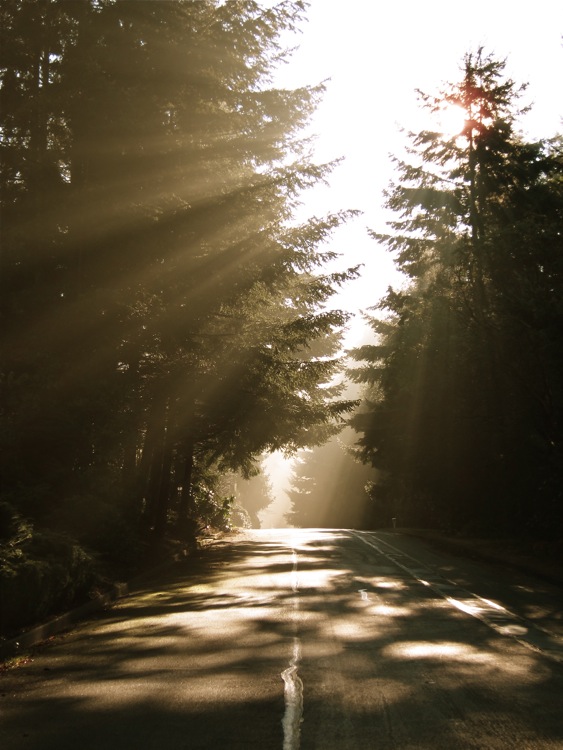 light and road