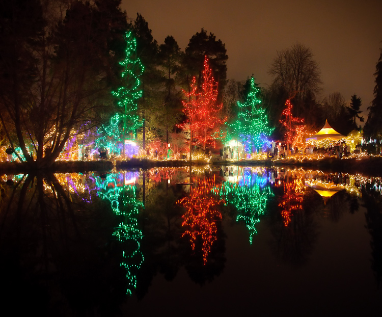 festival of lights 1