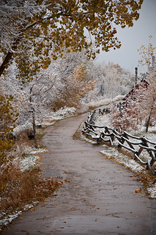 golden colorado