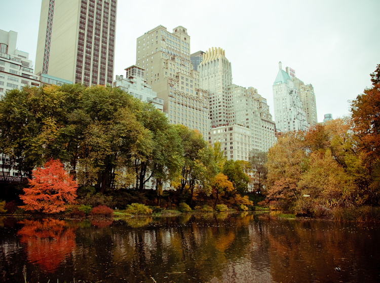 fall in central park