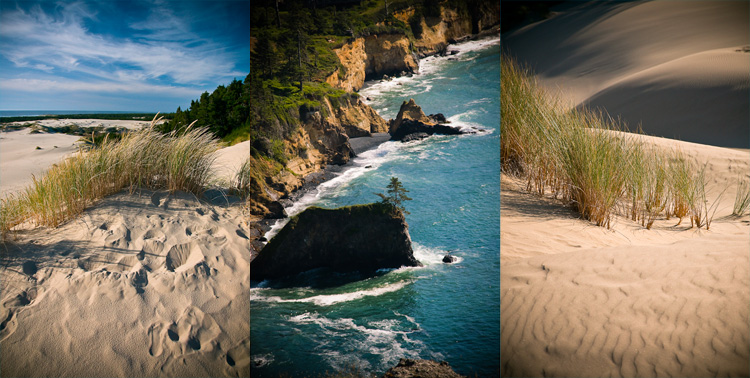 the coast