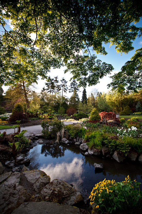 the garden