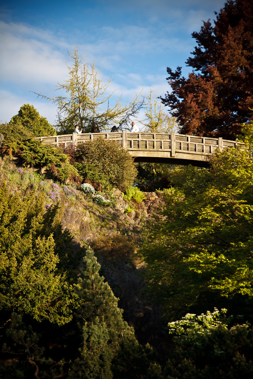 the bridge