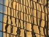 building distortion
