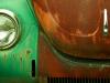 rusty bug