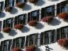swiss windows
