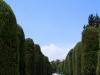 tehran park