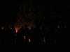 people around fire