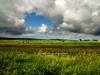 the farm