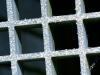 dragonfly in grid