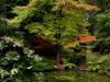 pond in autumn
