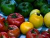 three colors of tomatoes