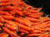 bundles of carrots