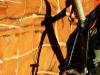 wavy bike shadow