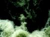fluid dynamics