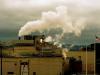 bellingham industry