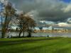 the park