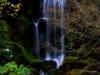 mystic fall