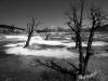 deadland