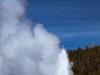 old faithful