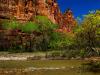 zion river