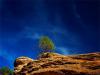 wavy rock